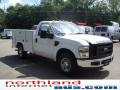 2009 F250 Super Duty XL Regular Cab #13
