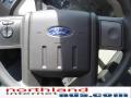 2009 F250 Super Duty XL Regular Cab #19