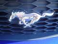 2008 Mustang GT Deluxe Coupe #12