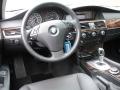 2008 5 Series 528i Sedan #11