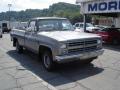  1985 Chevrolet C/K Silver Metallic #15