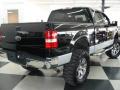 2004 F150 XLT SuperCrew 4x4 #4