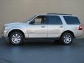2008 Expedition XLT #1