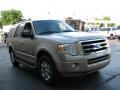 2008 Expedition XLT #4