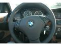 2009 5 Series 528i Sedan #18