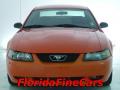 2004 Mustang V6 Coupe #5