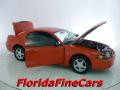 2004 Mustang V6 Coupe #7