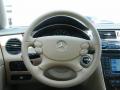 2007 CLS 550 #19