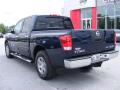 2009 Titan SE Crew Cab #8