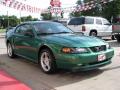 2000 Mustang GT Coupe #4