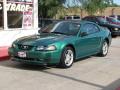 2000 Mustang GT Coupe #14