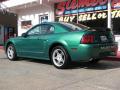 2000 Mustang GT Coupe #16