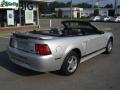 2002 Mustang V6 Convertible #3