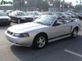 2002 Mustang V6 Convertible #13