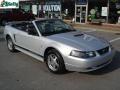 2002 Mustang V6 Convertible #15