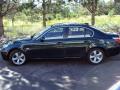 2008 5 Series 528xi Sedan #3