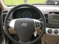 2009 Elantra GLS Sedan #21