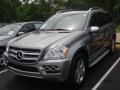 2010 GL 450 4Matic #1 2010 GL 450 4Matic #1