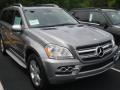 2010 GL 450 4Matic #3 2010 GL 450 4Matic #3