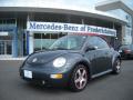2005 New Beetle Dark Flint Edition Convertible #1