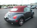 2005 New Beetle Dark Flint Edition Convertible #5
