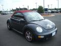 2005 New Beetle Dark Flint Edition Convertible #7