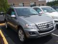 2010 ML 350 4Matic #3