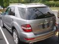 2010 ML 350 4Matic #7