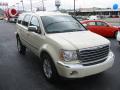 2008 Aspen Limited #4