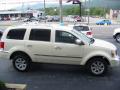 2008 Aspen Limited #12