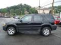 2007 Escape XLT V6 #6