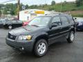 2007 Escape XLT V6 #7