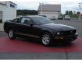 2006 Mustang V6 Deluxe Coupe #7