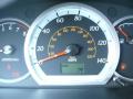 2008 Forenza  #11