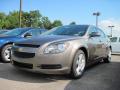 2010 Malibu LS Sedan #1