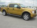 2009 F150 FX4 SuperCrew 4x4 #1