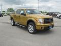 2009 F150 FX4 SuperCrew 4x4 #2