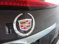 2009 CTS 4 AWD Sedan #34