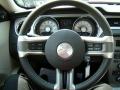2010 Mustang V6 Premium Coupe #16