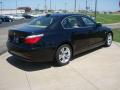 2009 5 Series 528i Sedan #3