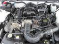 2006 Mustang V6 Deluxe Convertible #7