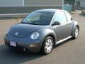 2002 New Beetle GLS Coupe #4