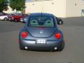 2002 New Beetle GLS Coupe #7