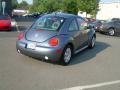 2002 New Beetle GLS Coupe #8