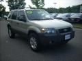 2005 Escape XLT V6 4WD #1 2005 Escape XLT V6 4WD #1
