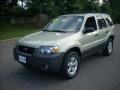 2005 Escape XLT V6 4WD #7 2005 Escape XLT V6 4WD #7