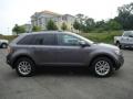 2009 Edge SEL #2