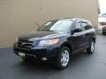 2007 Santa Fe SE #2
