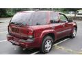 2004 TrailBlazer LS 4x4 #6