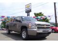 2009 Silverado 1500 LS Extended Cab 4x4 #3